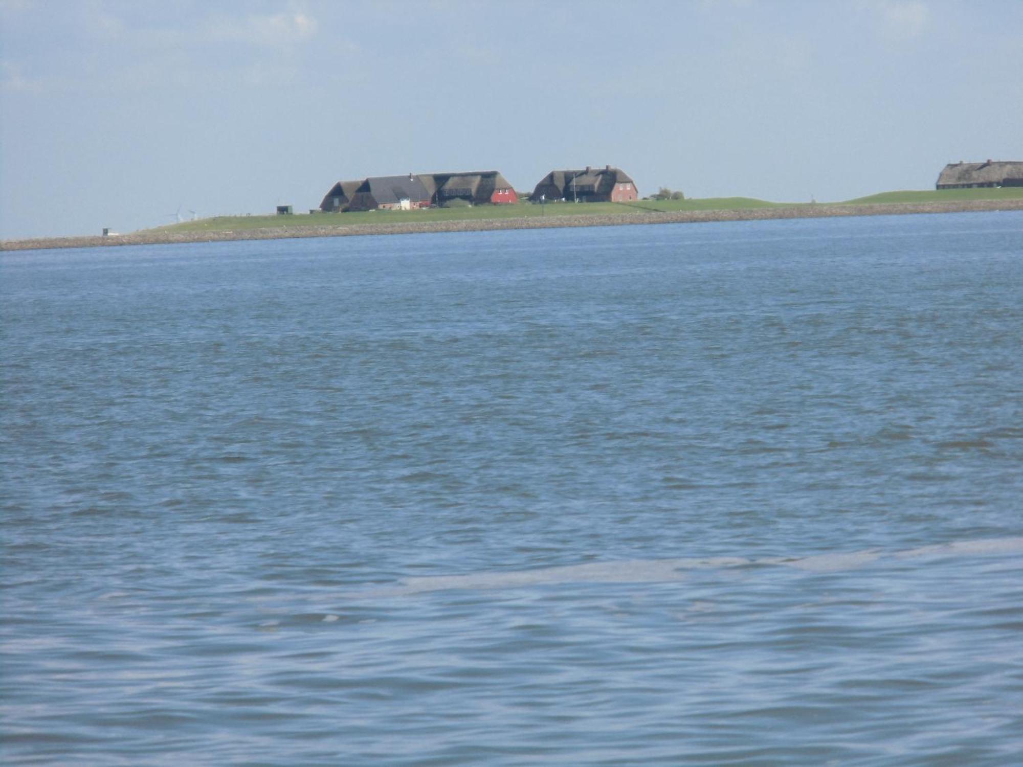 Dagebüll Friesenhaus Am Meer מראה חיצוני תמונה