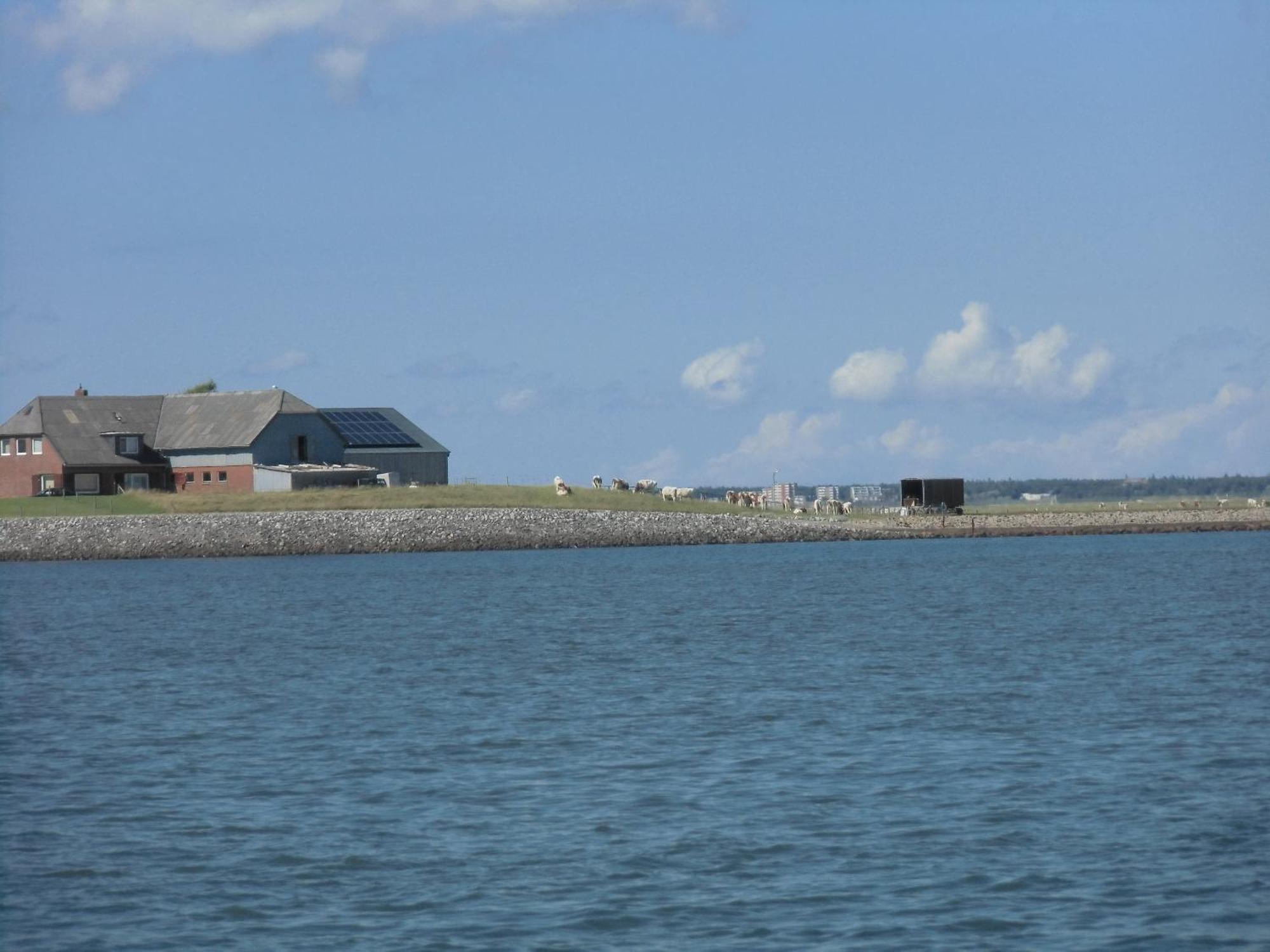 Dagebüll Friesenhaus Am Meer מראה חיצוני תמונה